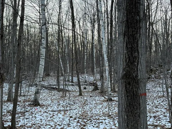 $400,000 | Orchard View Lane, Brussels, WI 54204