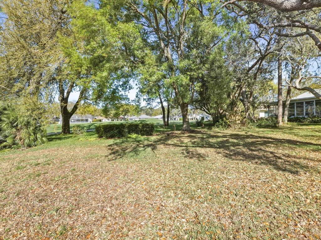 2351 Palm Springs Court Spring Hill, FL 34606 - Photo 28 of 49