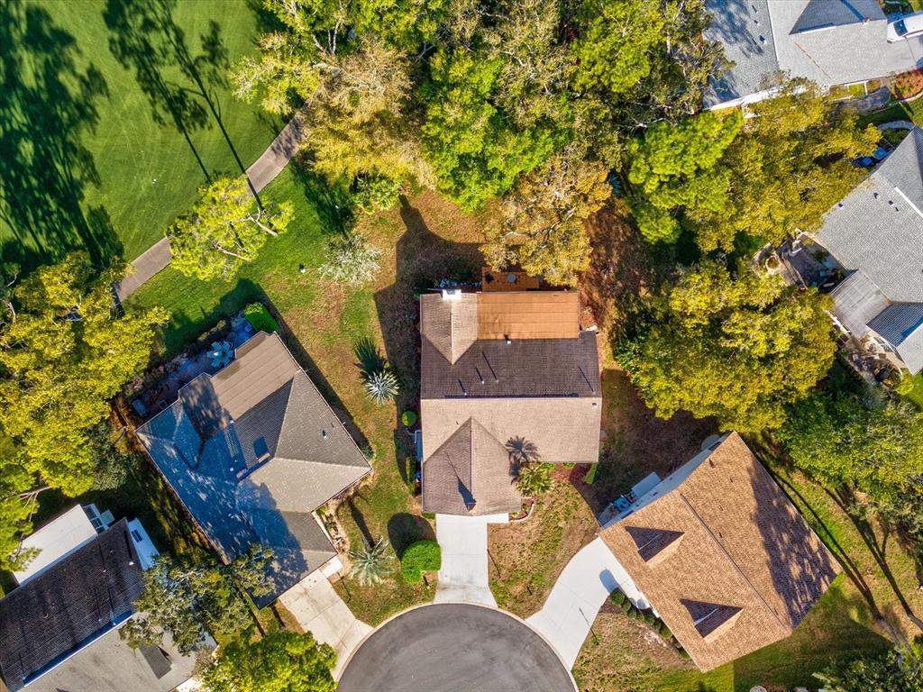 2351 Palm Springs Court Spring Hill, FL 34606 - Photo 32 of 49