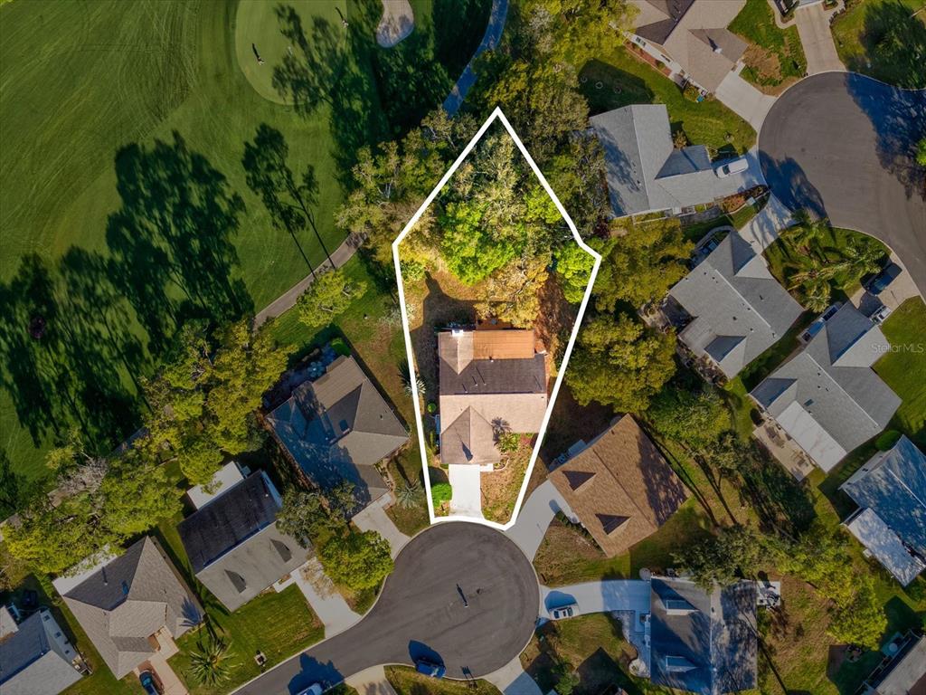 2351 Palm Springs Court Spring Hill, FL 34606 - Photo 33 of 49