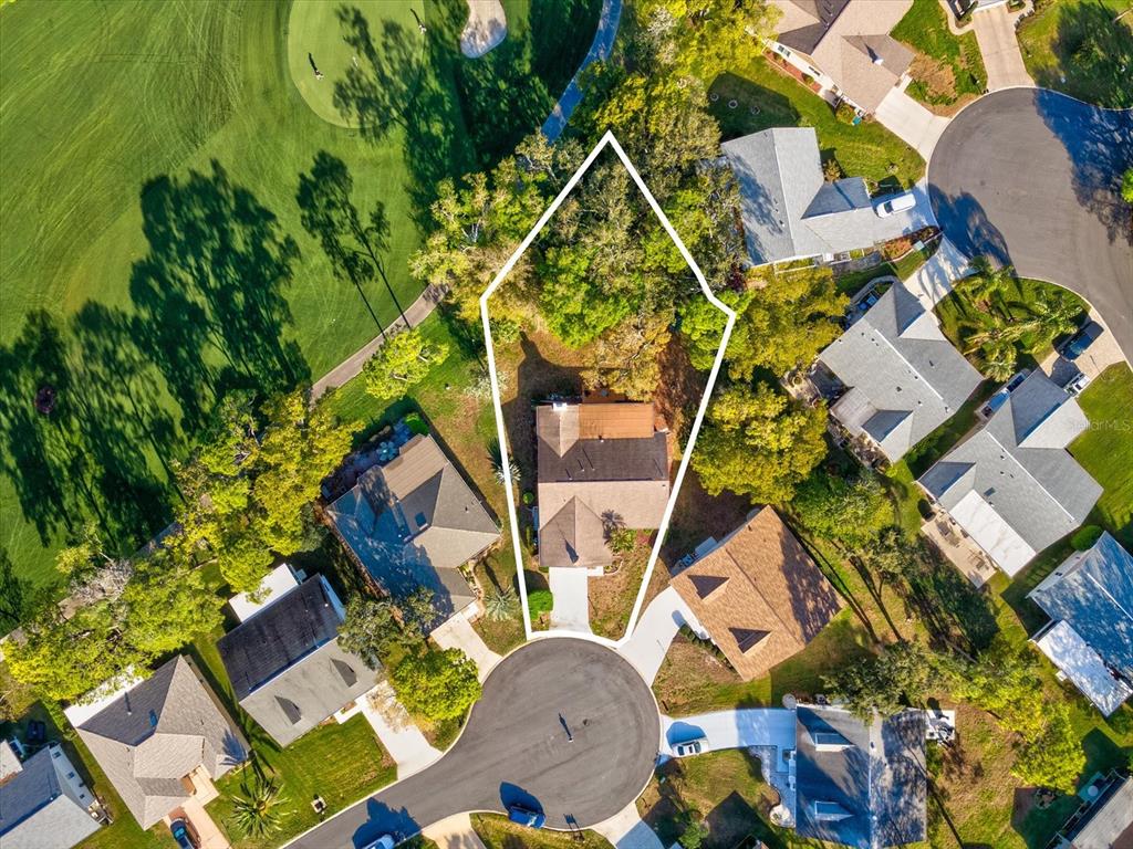 2351 Palm Springs Court Spring Hill, FL 34606 - Photo 34 of 49