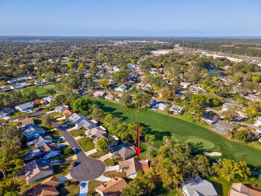 2351 Palm Springs Court Spring Hill, FL 34606 - Photo 35 of 49