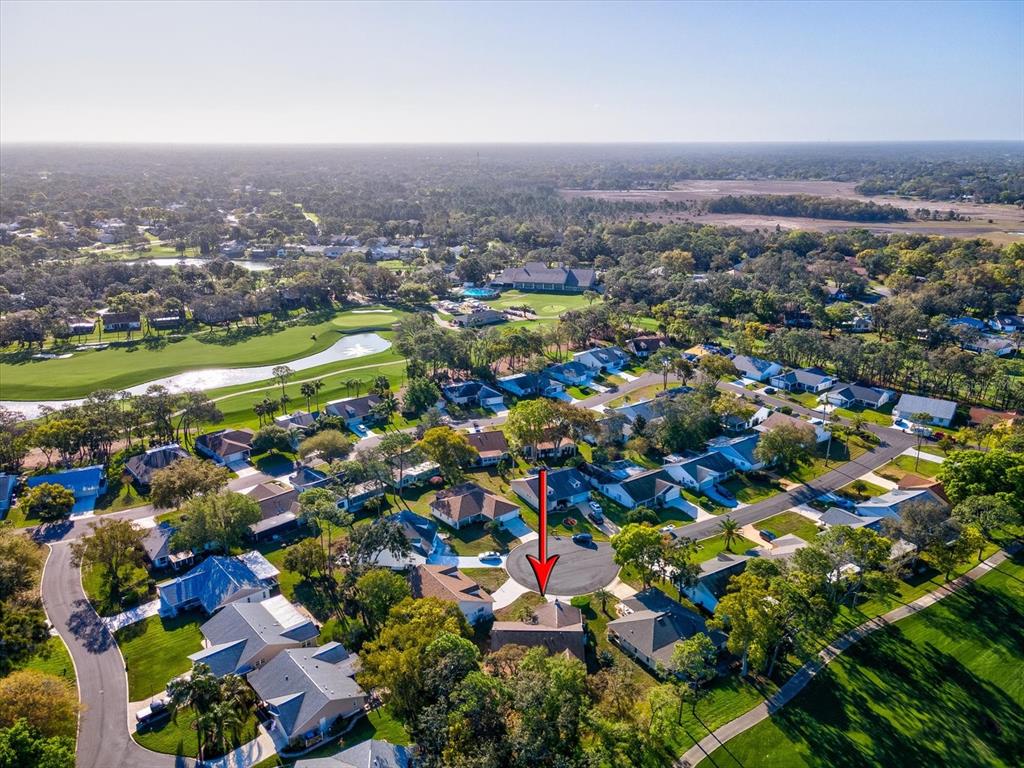 2351 Palm Springs Court Spring Hill, FL 34606 - Photo 36 of 49