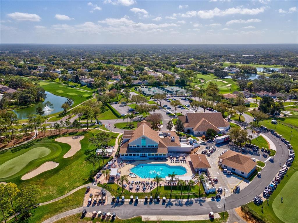 2351 Palm Springs Court Spring Hill, FL 34606 - Photo 44 of 49