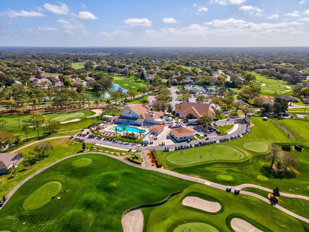 2351 Palm Springs Court Spring Hill, FL 34606 - Photo 45 of 49