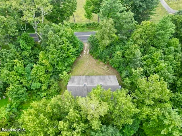 a view of a garden with plants
