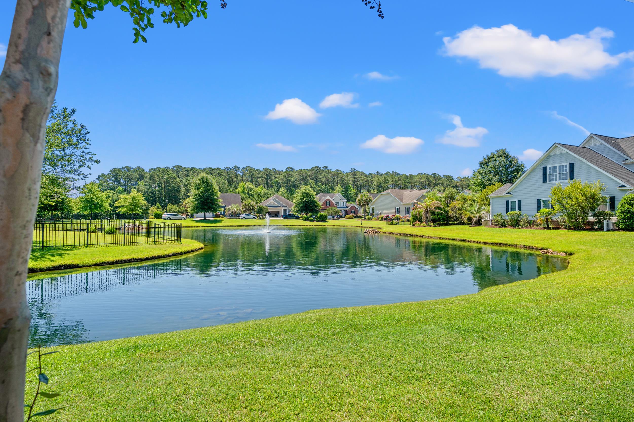 416 Retriever Court Murrells Inlet, SC 29576 - Photo 47 of 49