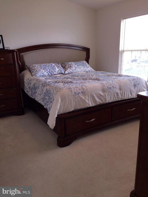 1207 Steed Street Ranson, WV 25438 - Photo 9 of 24 Bedroom (Master)