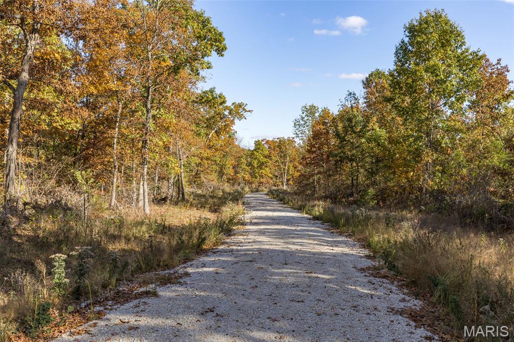 Lot 7 Thunder Ridge Road Richwoods, MO 63071 - Photo 3 of 3