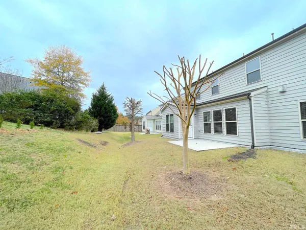 a view of a yard with trees