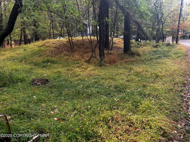 a view of outdoor space with trees