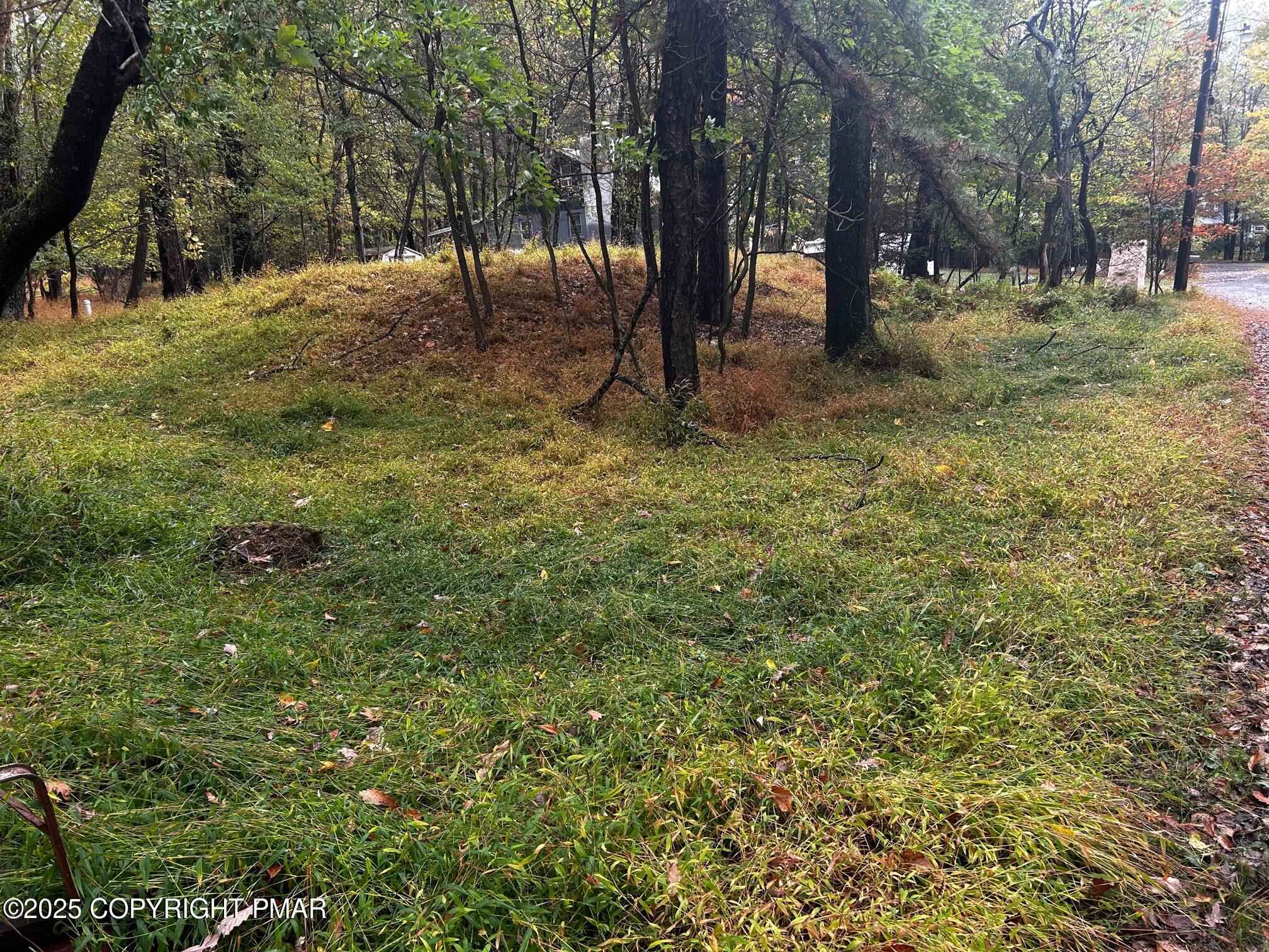 a view of outdoor space with trees