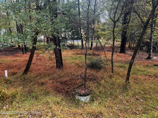 a view of outdoor space