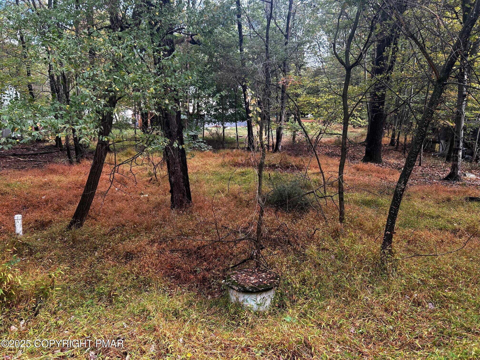 Johns Road Effort, PA 18330 - Photo 2 of 11 a view of outdoor space