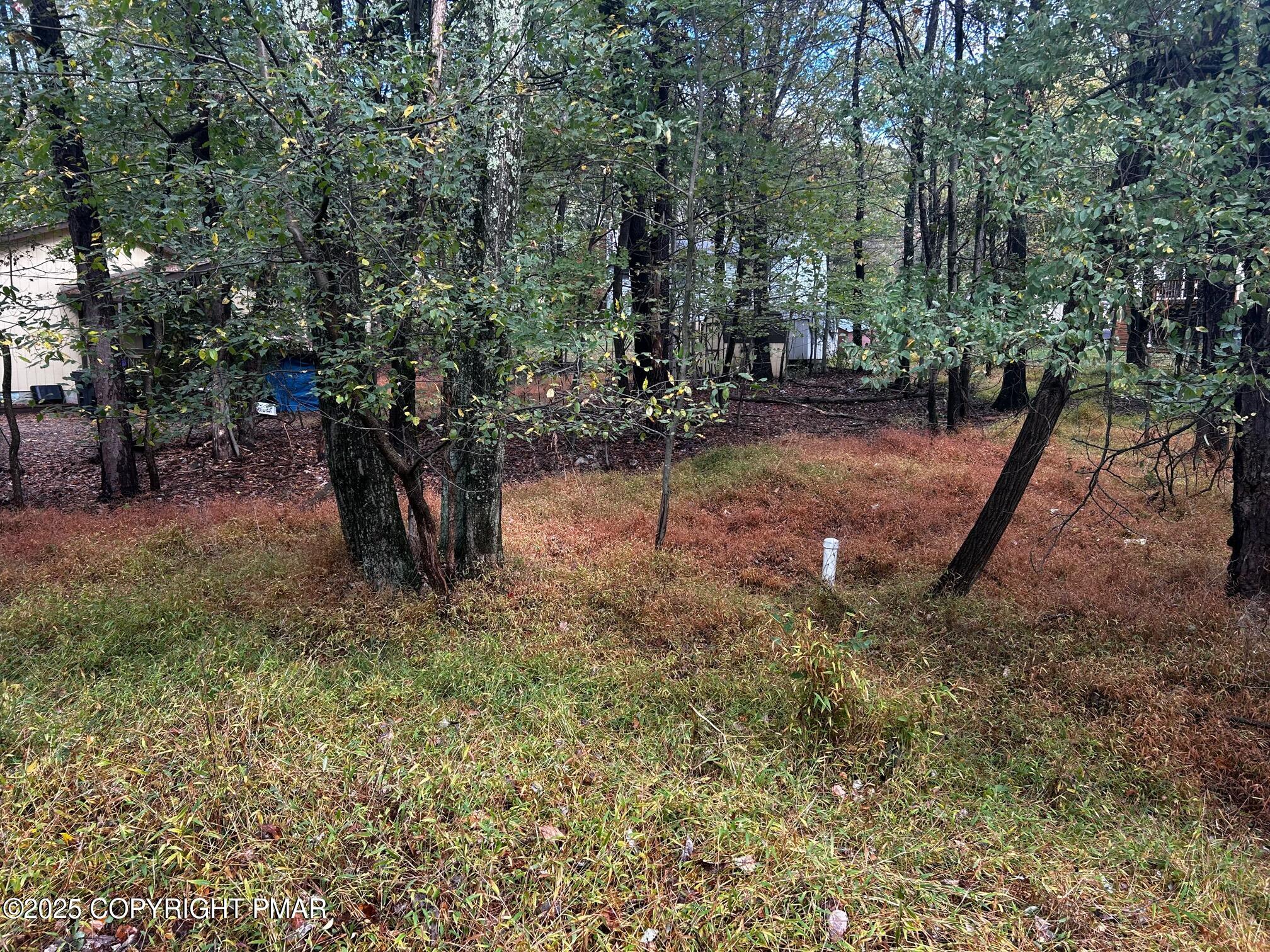 Johns Road Effort, PA 18330 - Photo 3 of 11 a backyard of a house with lots of green space