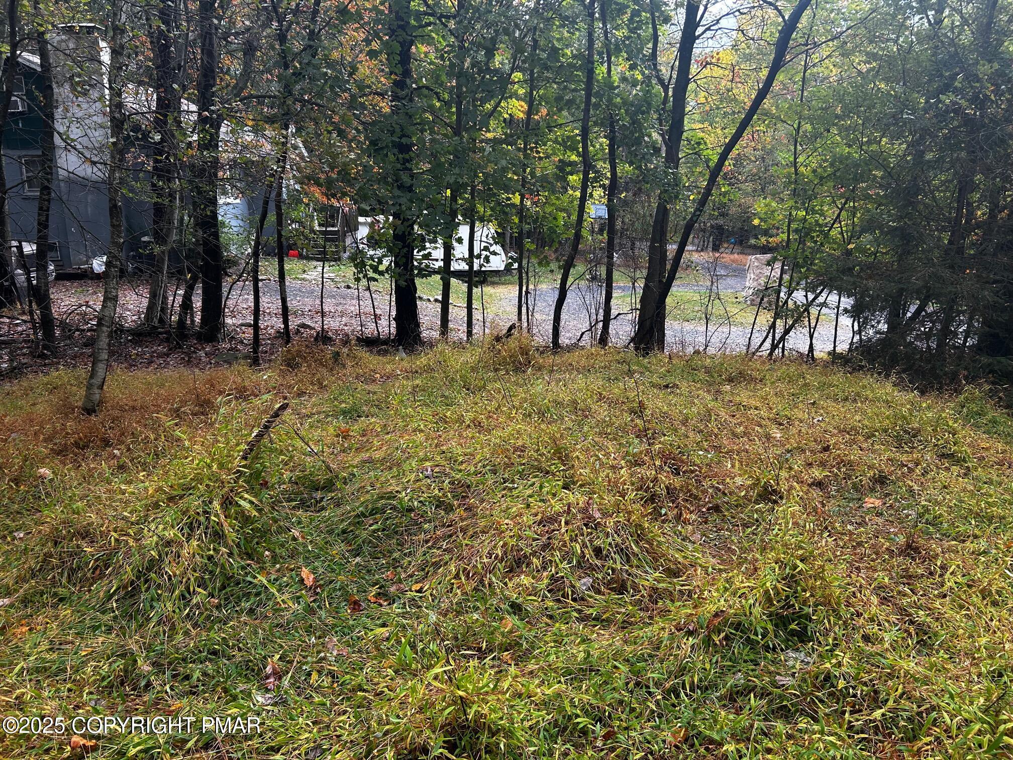 Johns Road Effort, PA 18330 - Photo 5 of 11 a view of outdoor space with trees