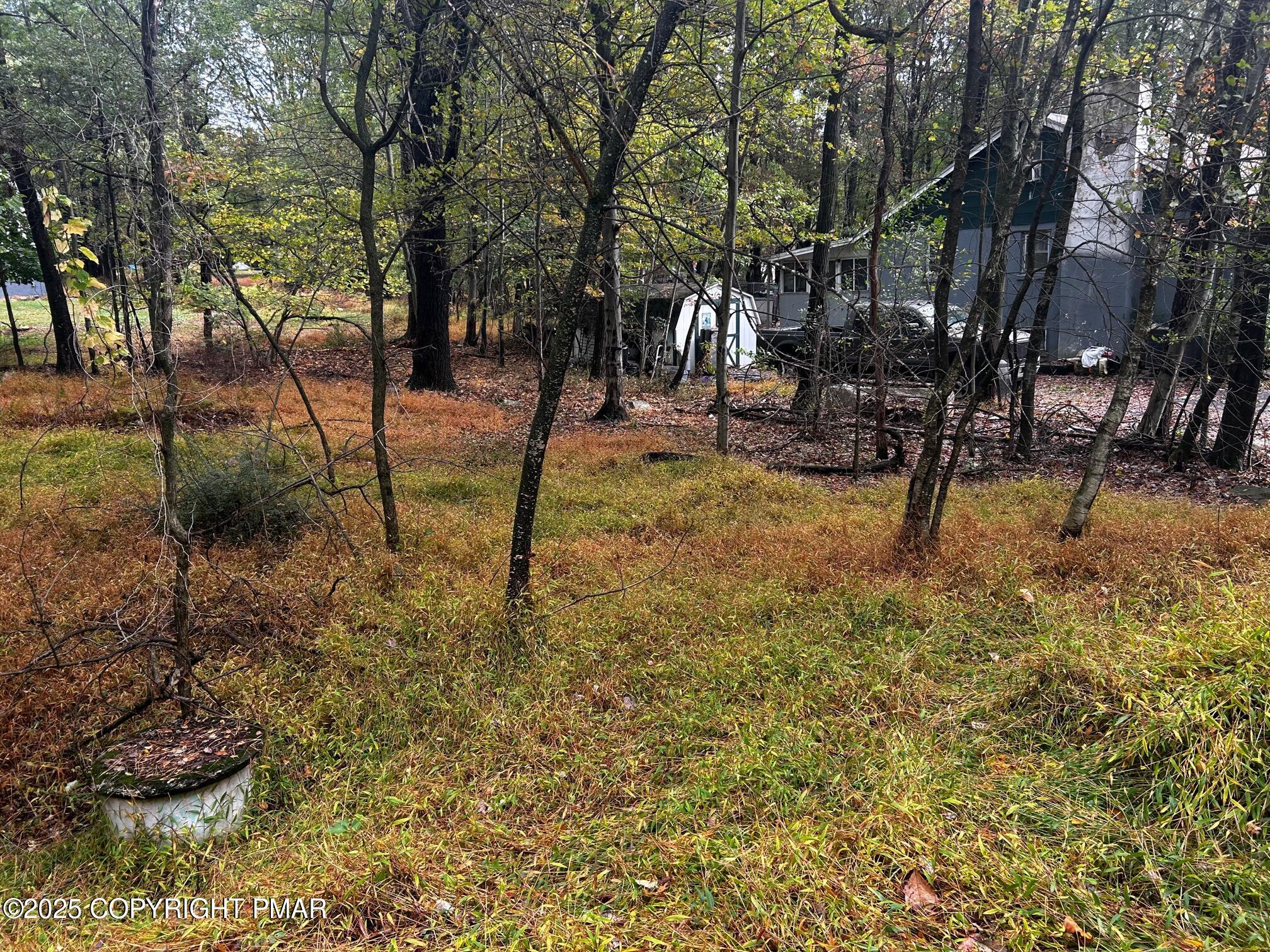 Johns Road Effort, PA 18330 - Photo 6 of 11 a view of a yard with a tree