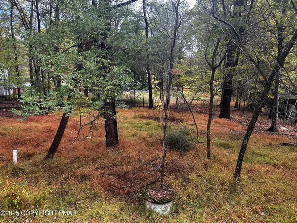 a view of outdoor space