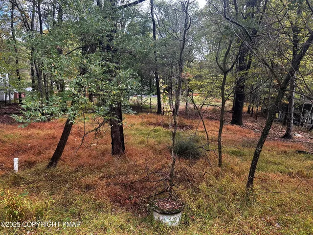 a view of outdoor space