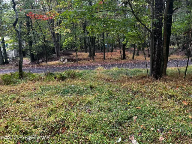 a view of outdoor space with a garden