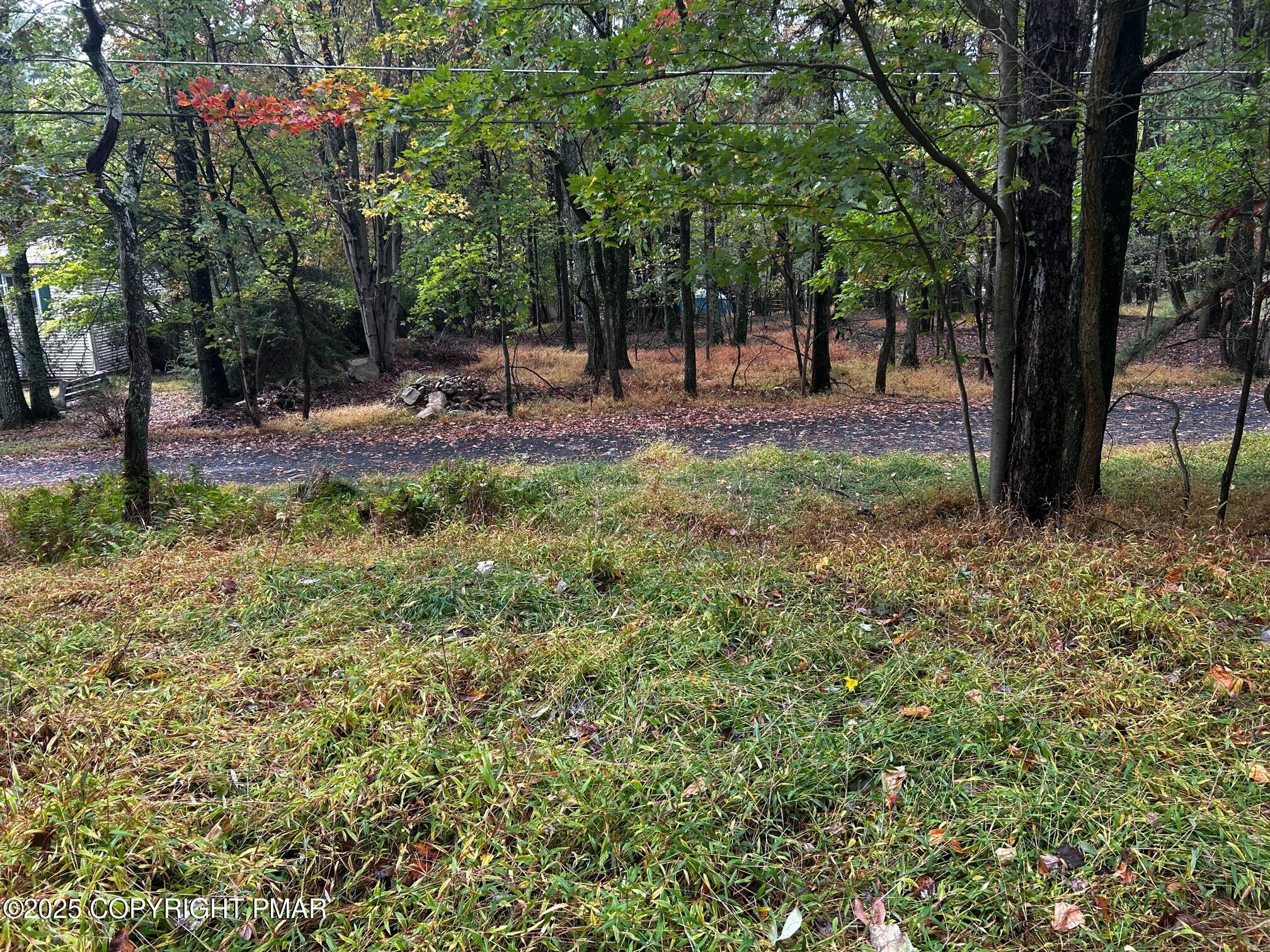 Johns Road Effort, PA 18330 - Photo 8 of 11 a view of outdoor space with a garden