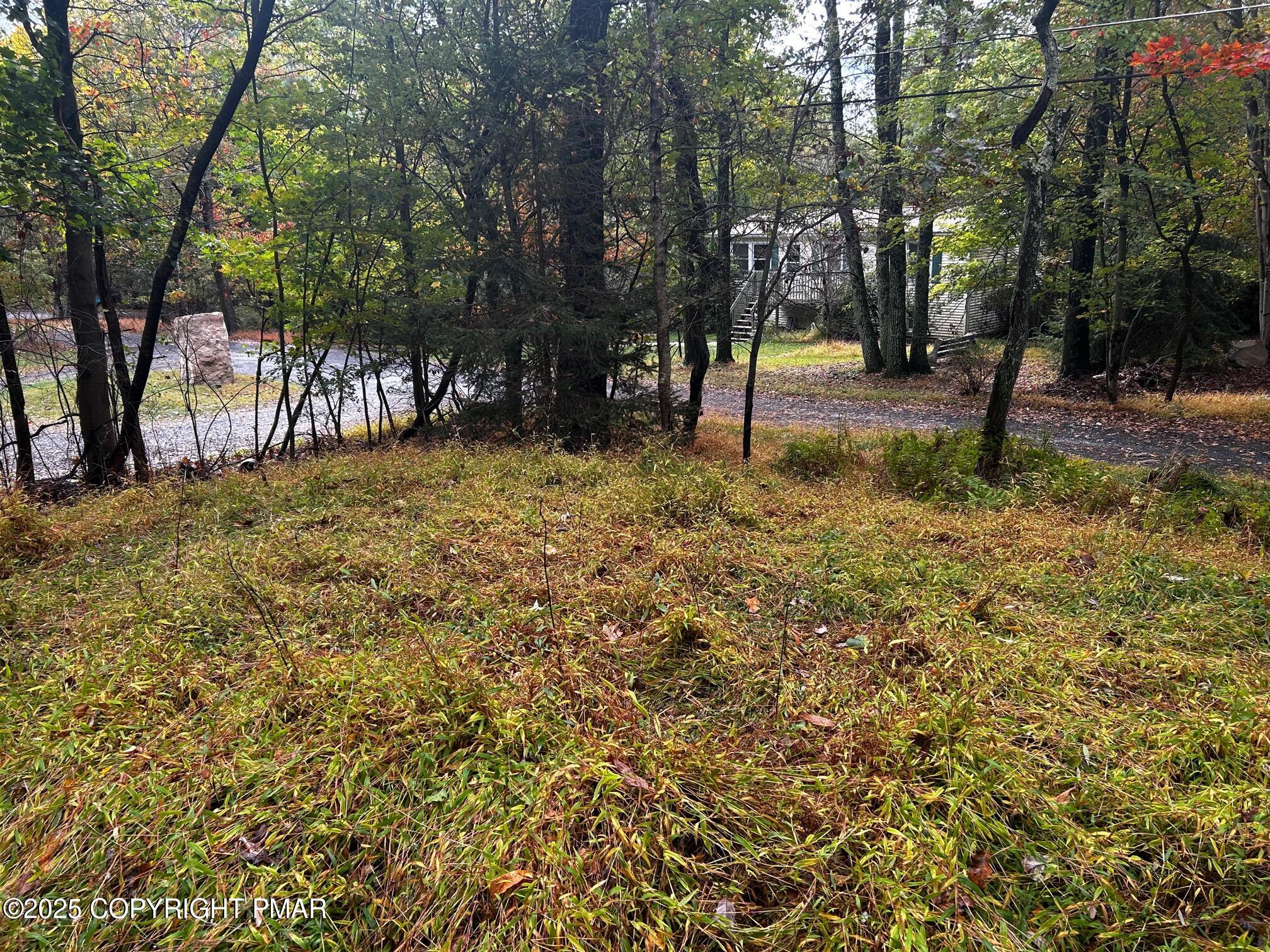Johns Road Effort, PA 18330 - Photo 9 of 11 a view of outdoor space with a garden