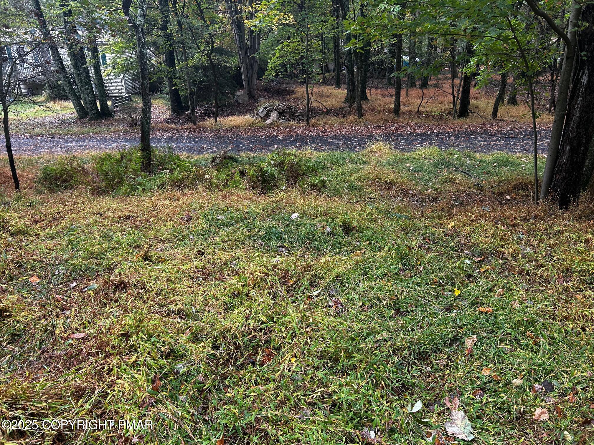 Johns Road Effort, PA 18330 - Photo 10 of 11 a backyard of a house with lots of green space