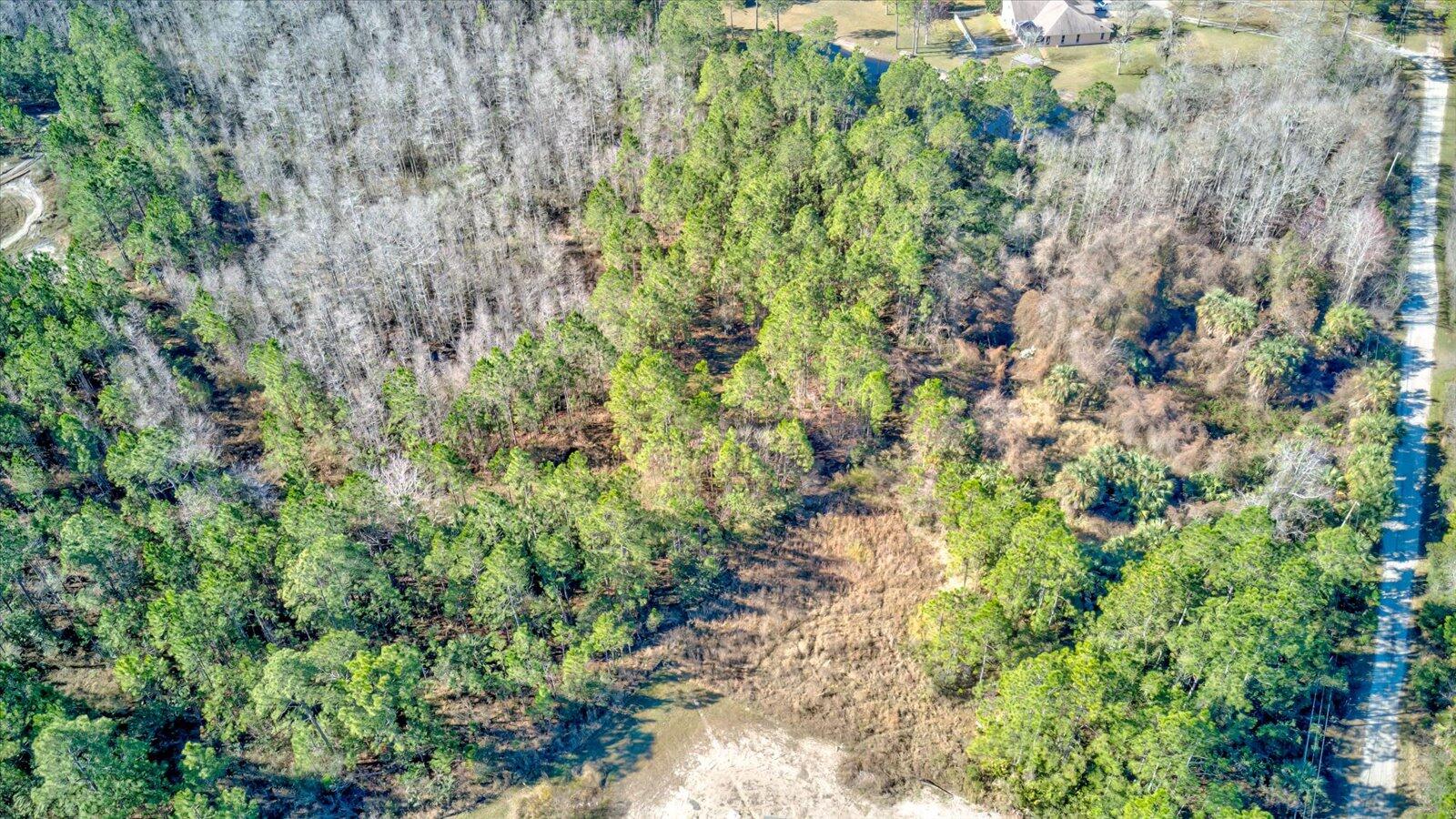 0 Rodeo Acres Drive Ormond Beach, FL 32174 - Photo 11 of 20 a view of a garden with a plant