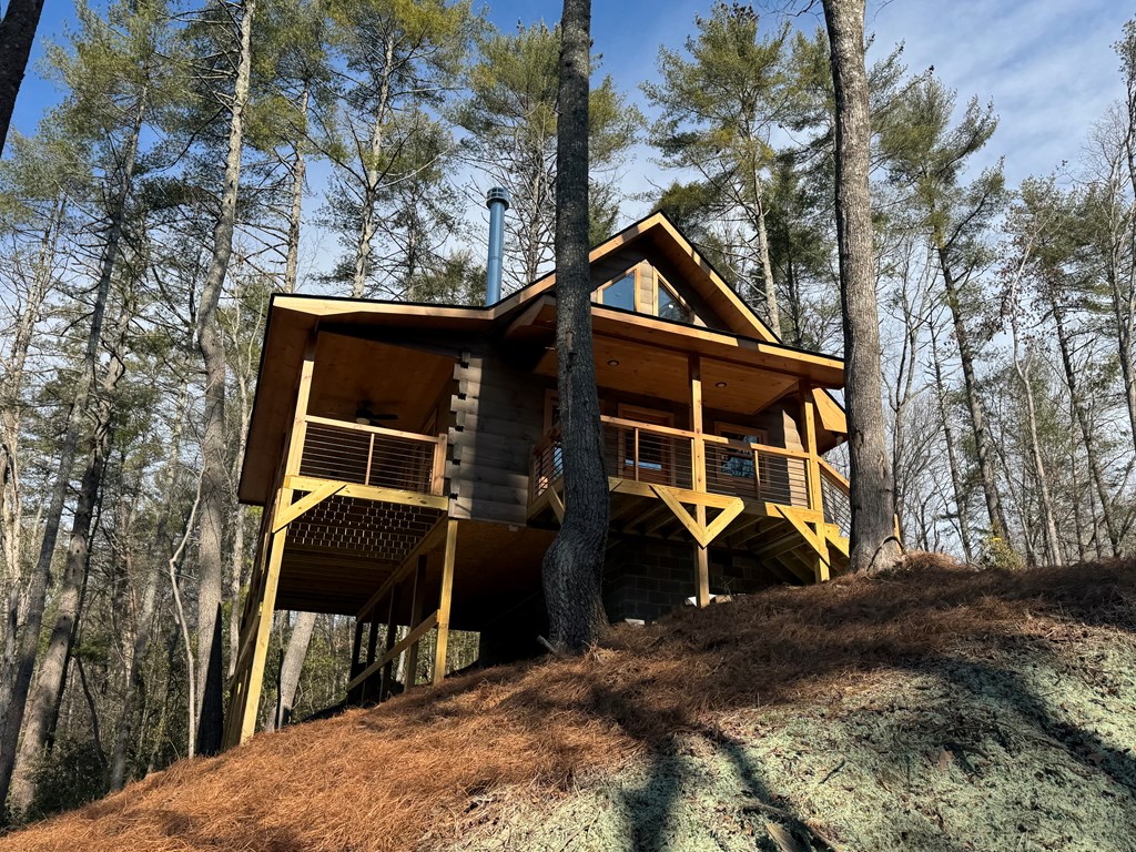 846 Joann Sisson Road Blue Ridge, GA 30513 - Photo 25 of 39 Gallery Image 25
