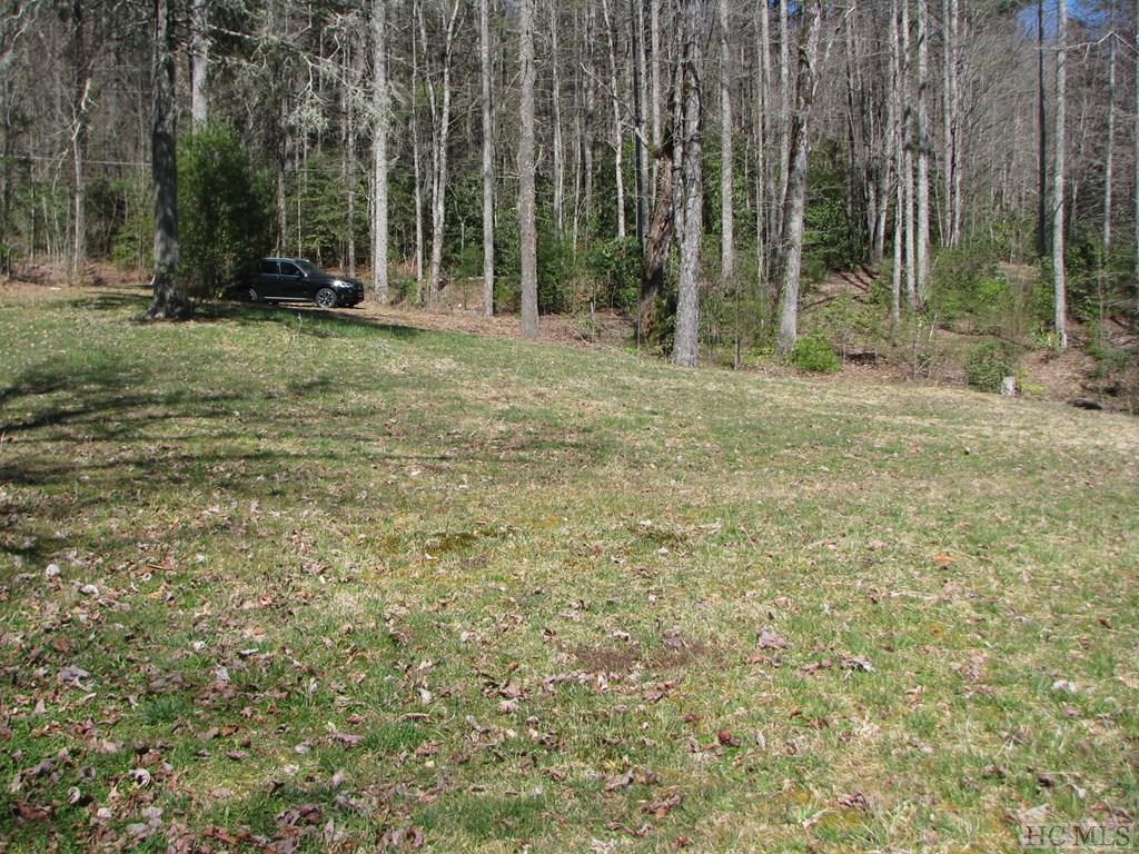 135 Island Point Road Lake Toxaway, NC 28747 - Photo 7 of 7 Gallery Image 7
