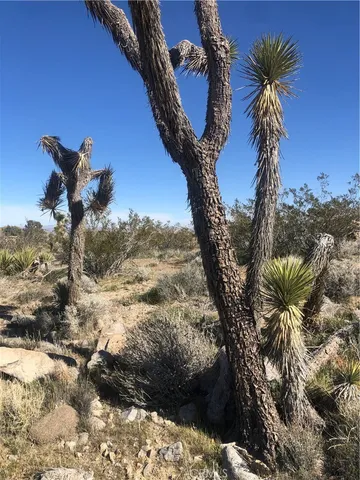 $75,000 | 31875 Sapphire Road, Lucerne Valley, CA 92356