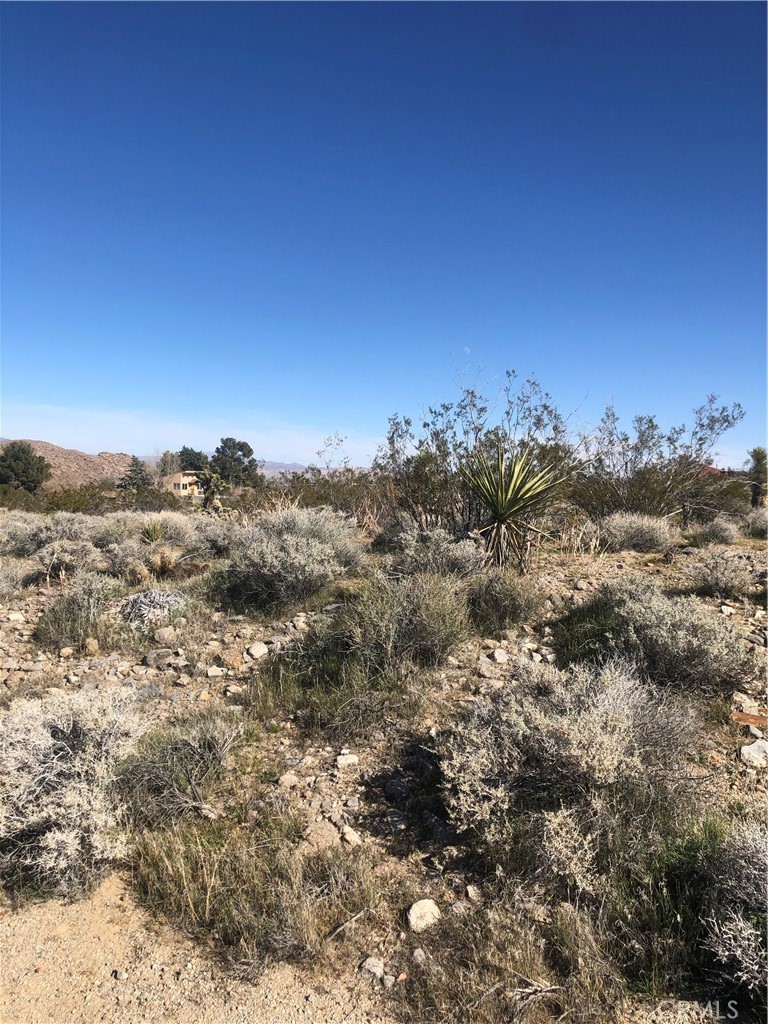 31875 Sapphire Road Lucerne Valley, CA 92356 - Photo 30 of 34
