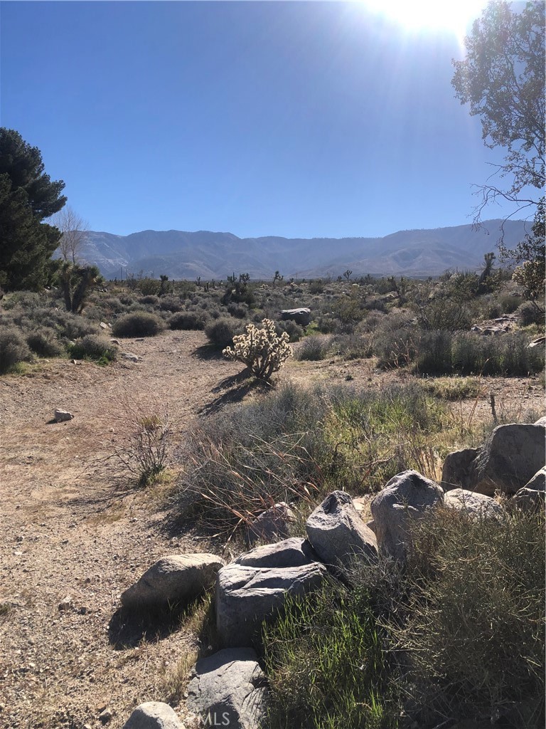 31875 Sapphire Road Lucerne Valley, CA 92356 - Photo 33 of 34