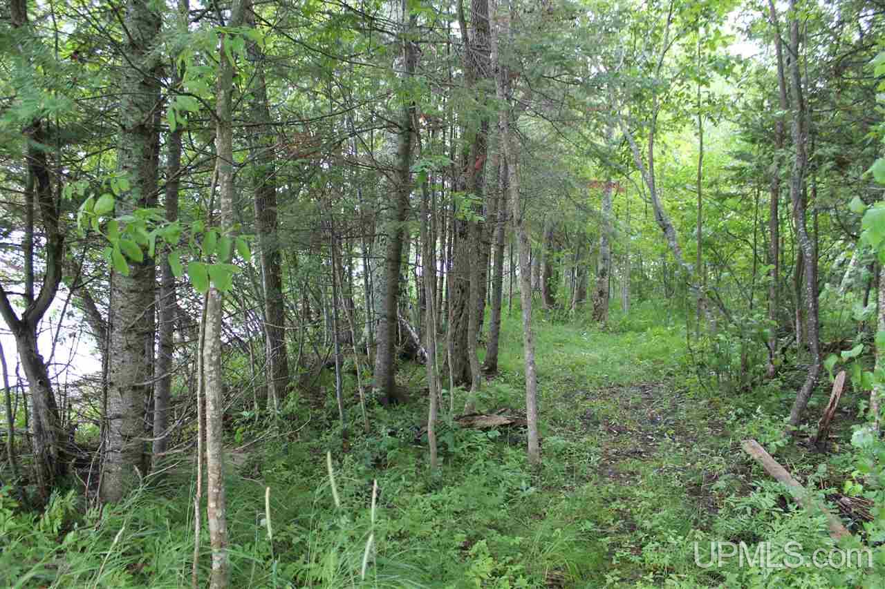 Tbd Zellar Road Gould City, MI 49820 - Photo 8 of 9 Gallery Image 8