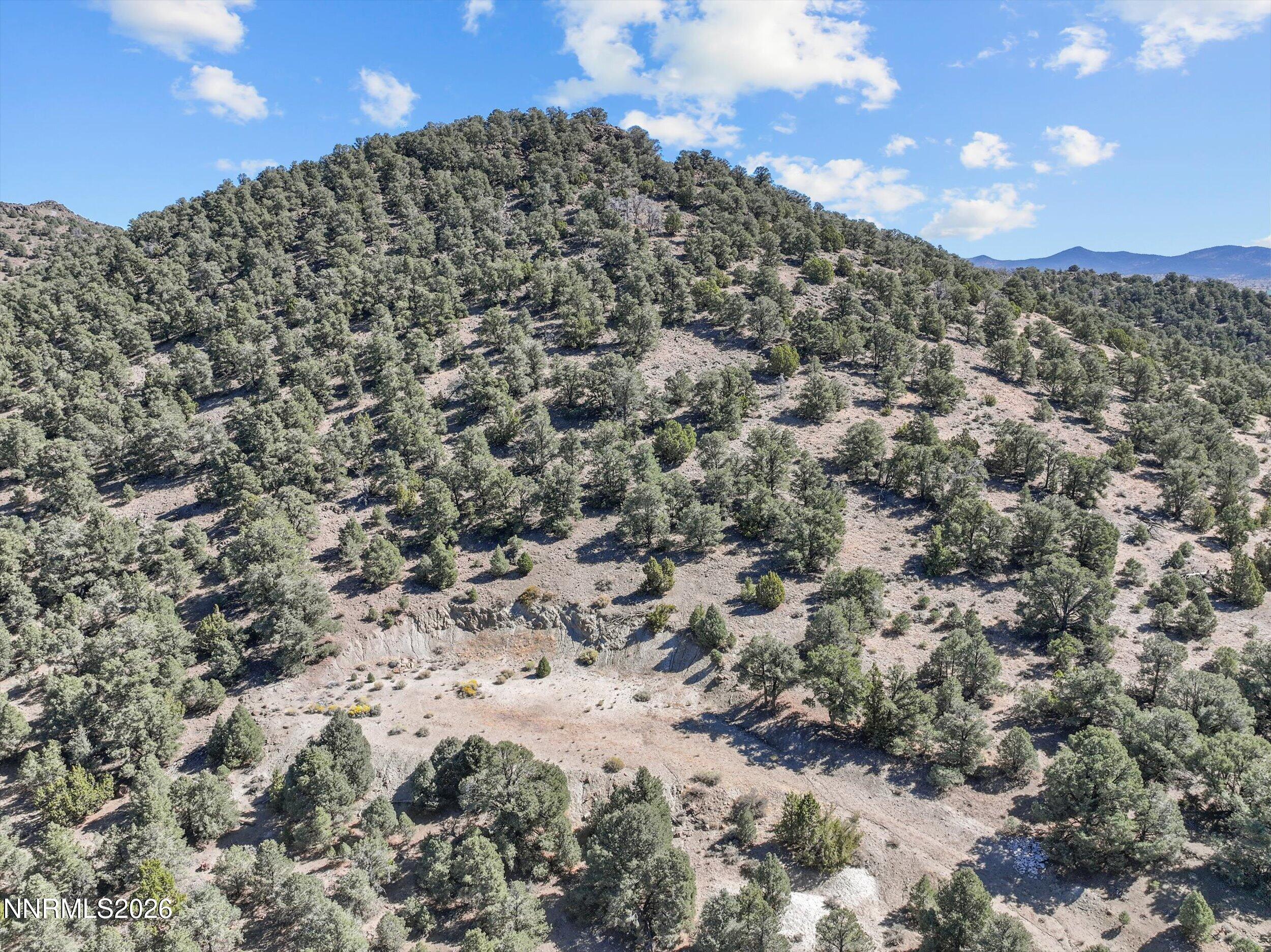 2180 Castle Peak Road Reno, NV 89521 - Photo 1 of 18 20-DJI_20260929115108_0174_D