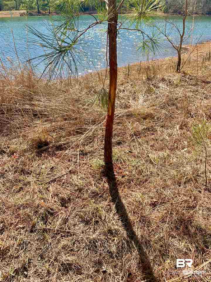0 Sexton Brg Road Luverne, AL 36049 - Photo 35 of 50