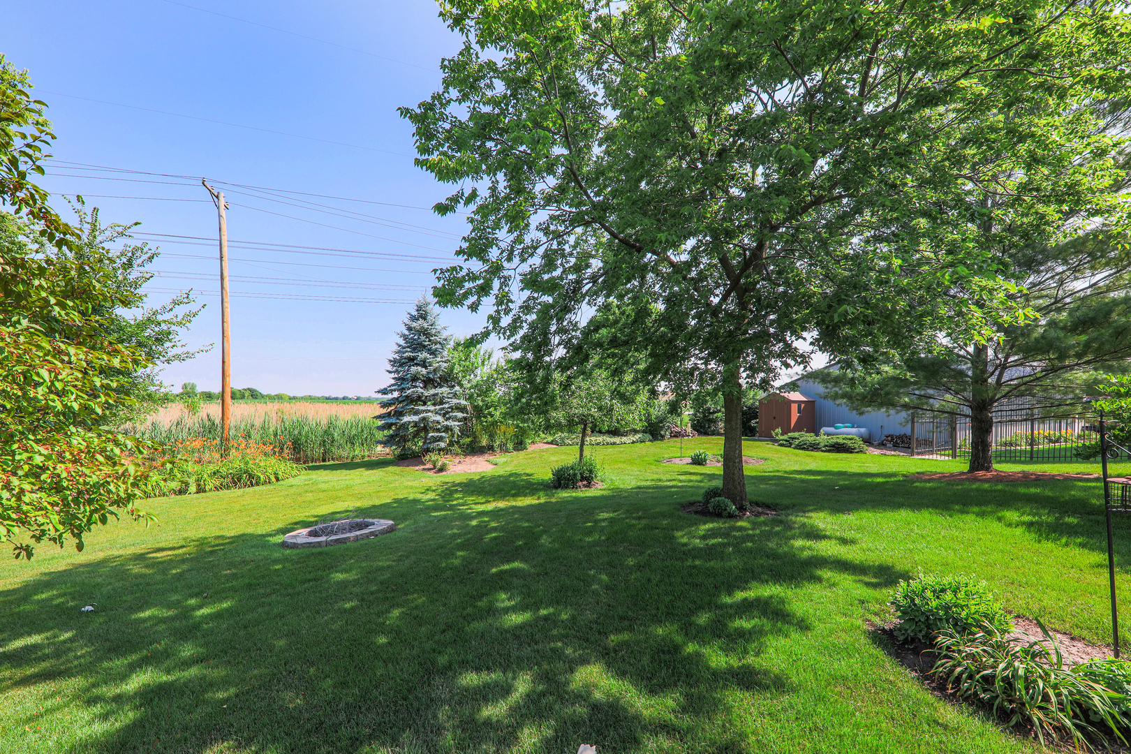 26310 South McKinley Woods Road Channahon, IL 60410 - Photo 41 of 49 a view of a park with a tree in the background