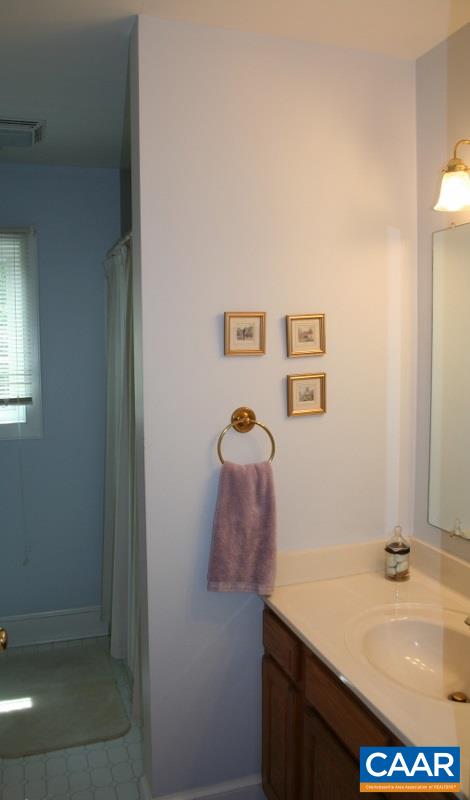 429 Beautiful Run Road Rochelle, VA 22738 - Photo 16 of 30 a bathroom with a sink and mirror
