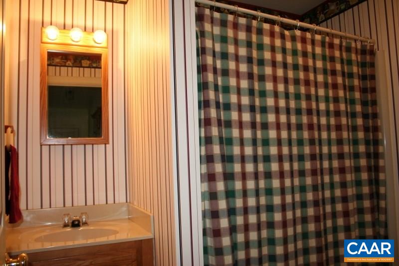 429 Beautiful Run Road Rochelle, VA 22738 - Photo 19 of 30 a bathroom with a sink and a shower