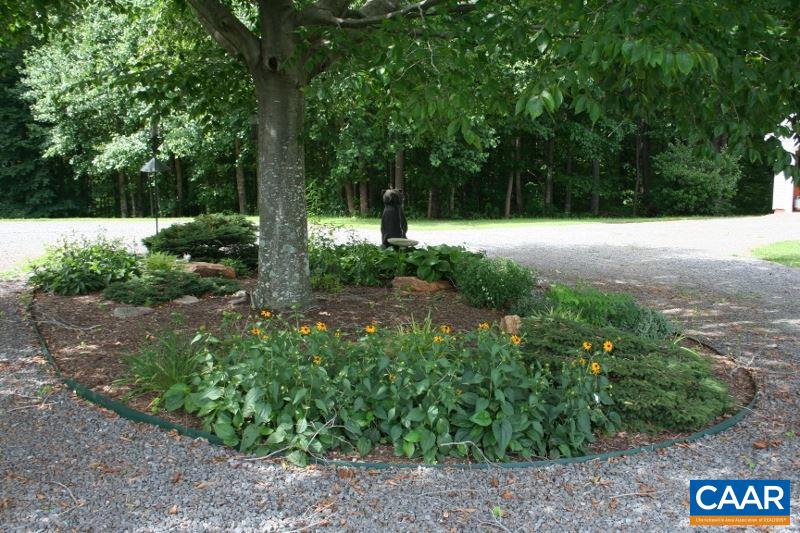 429 Beautiful Run Road Rochelle, VA 22738 - Photo 27 of 30 a view of backyard with green space