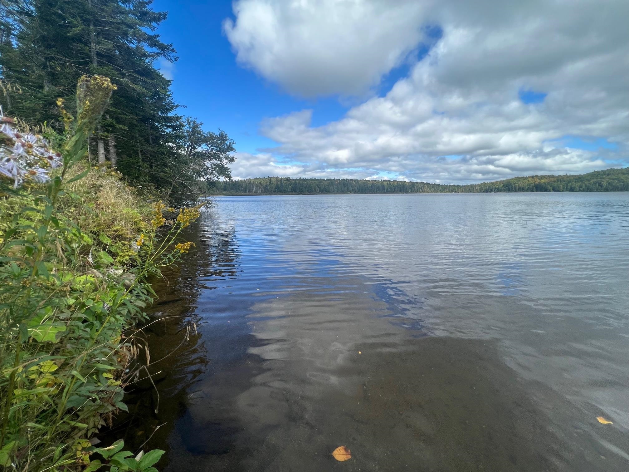- Diamond Pond Road Stewartstown, NH 03576 - Photo 36 of 38