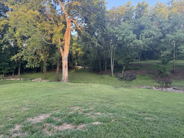 a backyard of a house with lots of green space