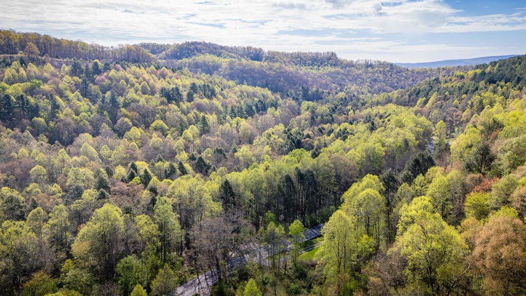 Tbd Guest River Road Norton, VA 24273 - Photo 7 of 16 Gallery Image 7