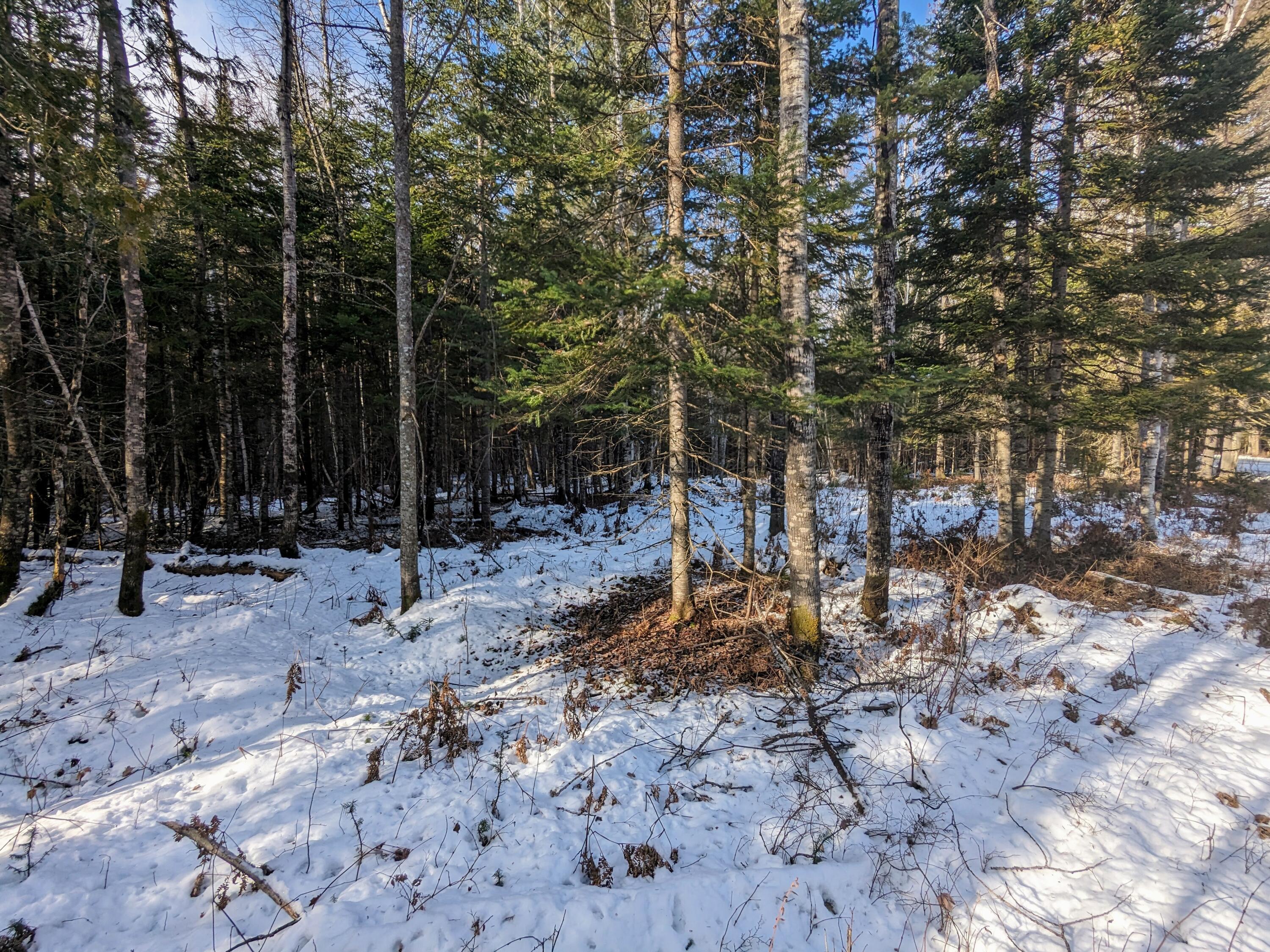 2 Map Road Stratton, ME 04982 - Photo 9 of 29 PXL_20231130_164906794