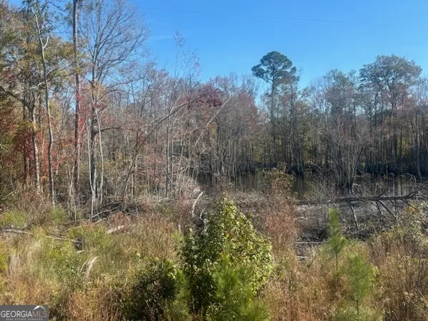 a view of a green field with lots of bushes