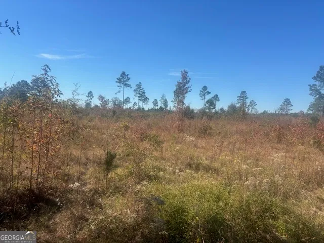 a view of a tree in a field of a house