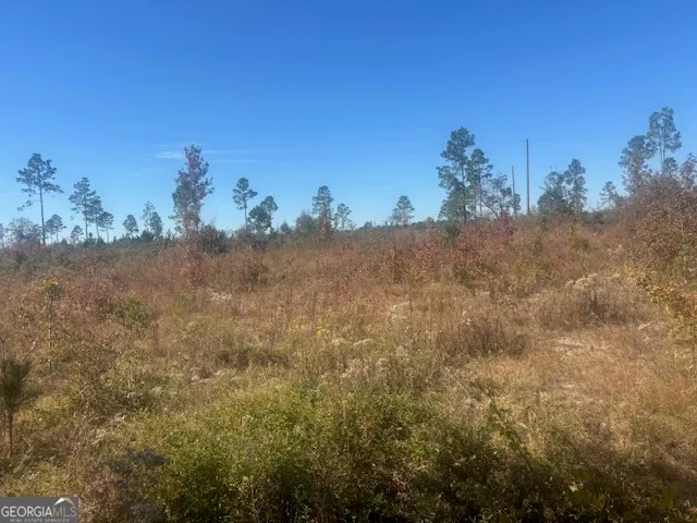 $70,000 | 0 Jd Williams Road, Cadwell, GA 31009