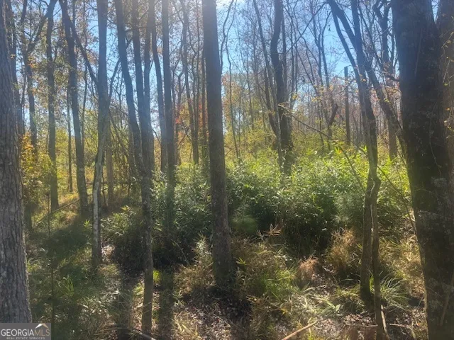 a view of a bunch of trees in a field