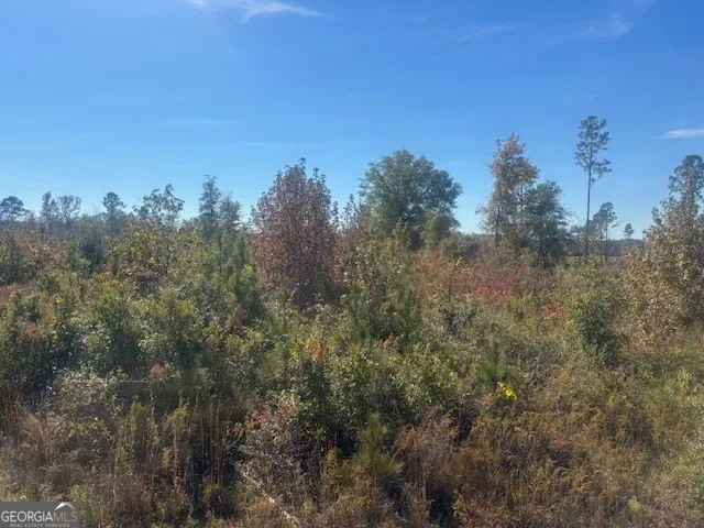 a view of a city with lush green forest