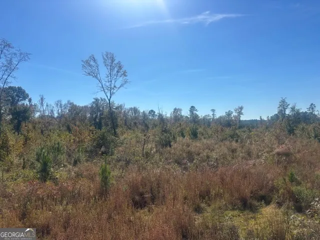 a view of a bunch of trees